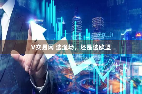 V交易网 选渔场，还是选欧盟