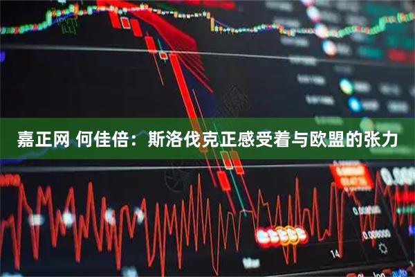 嘉正网 何佳倍：斯洛伐克正感受着与欧盟的张力