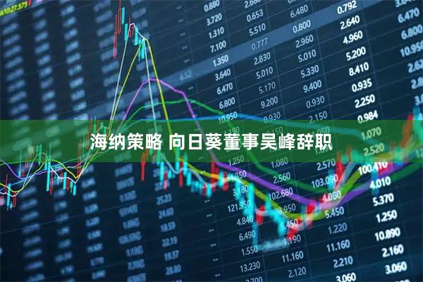 海纳策略 向日葵董事吴峰辞职