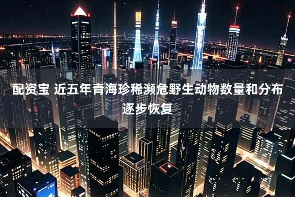 配资宝 近五年青海珍稀濒危野生动物数量和分布逐步恢复